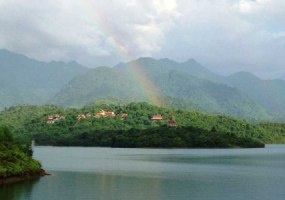 Không nương tựa
